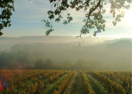 Image for "Our Postcard from the Dordogne" blog post