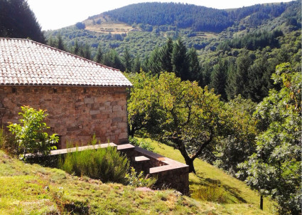 Image for "Discover the Drome - the New Provence" blog post