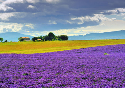 Image for "Experience the Sights and Delights of Magical Provence" blog post