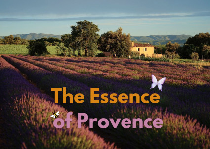 Image for "Le Tour de Provence – Discover the True Heart of the South" blog post