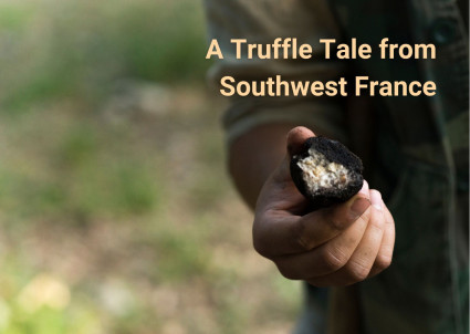 Truffles: France’s Underground Prima Donnas