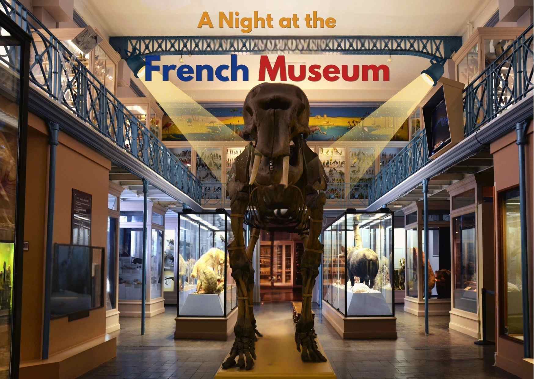A Night at the…