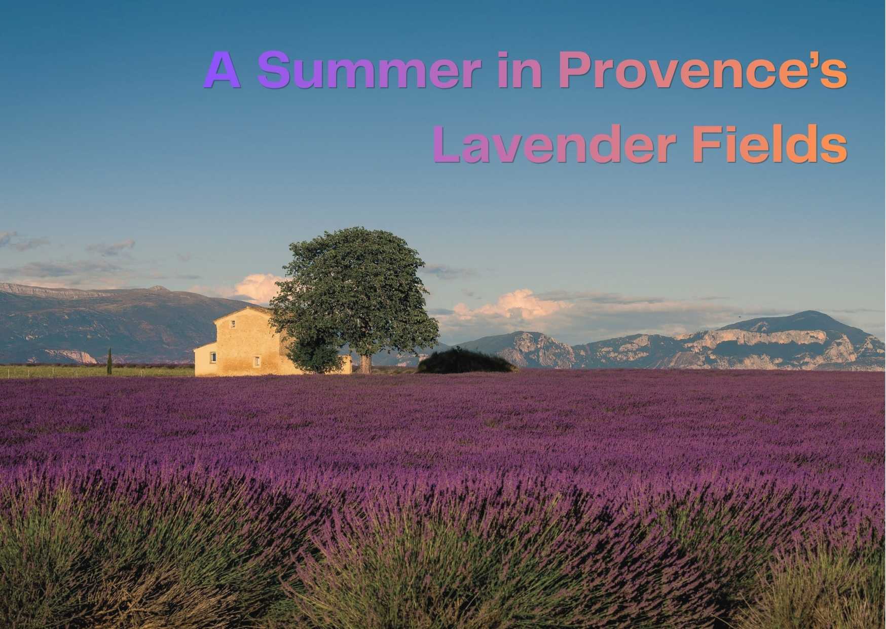 A Summer in Provence’s…