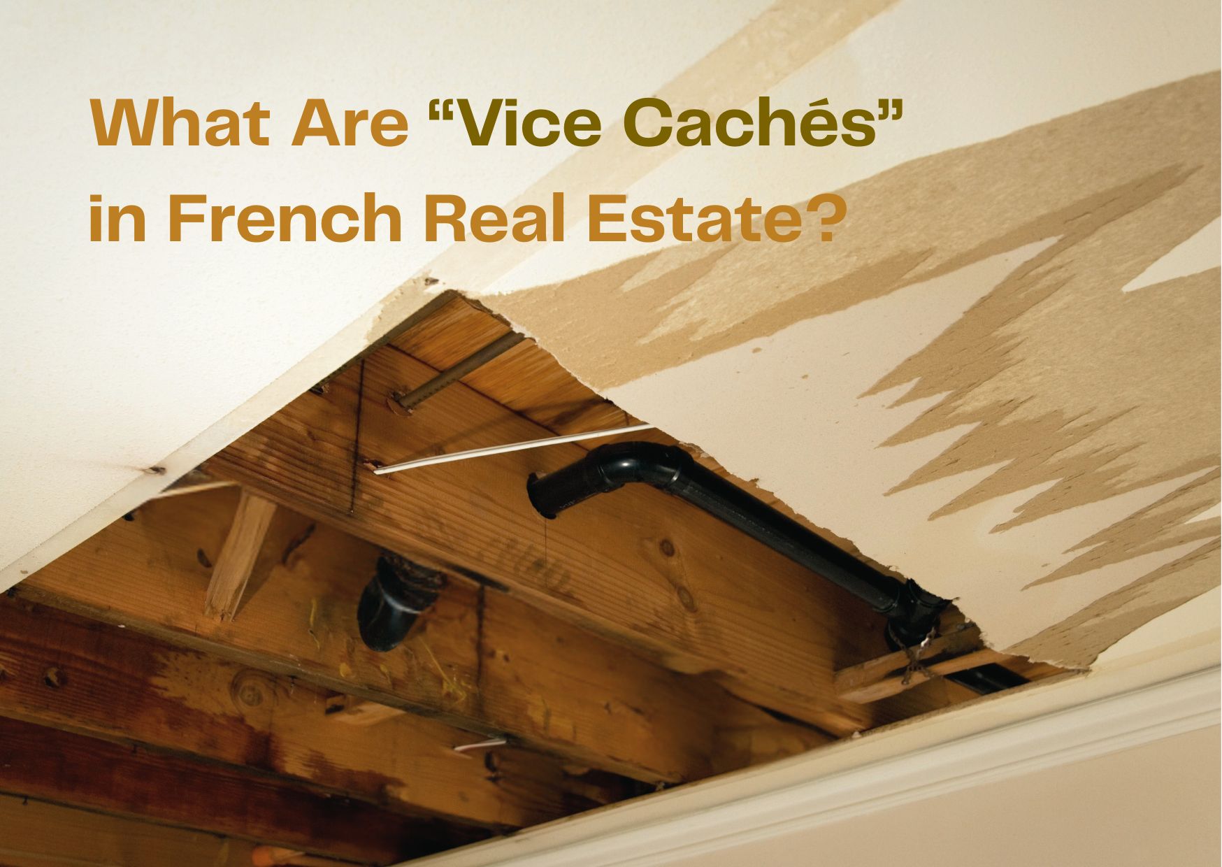 Learn about Vices…