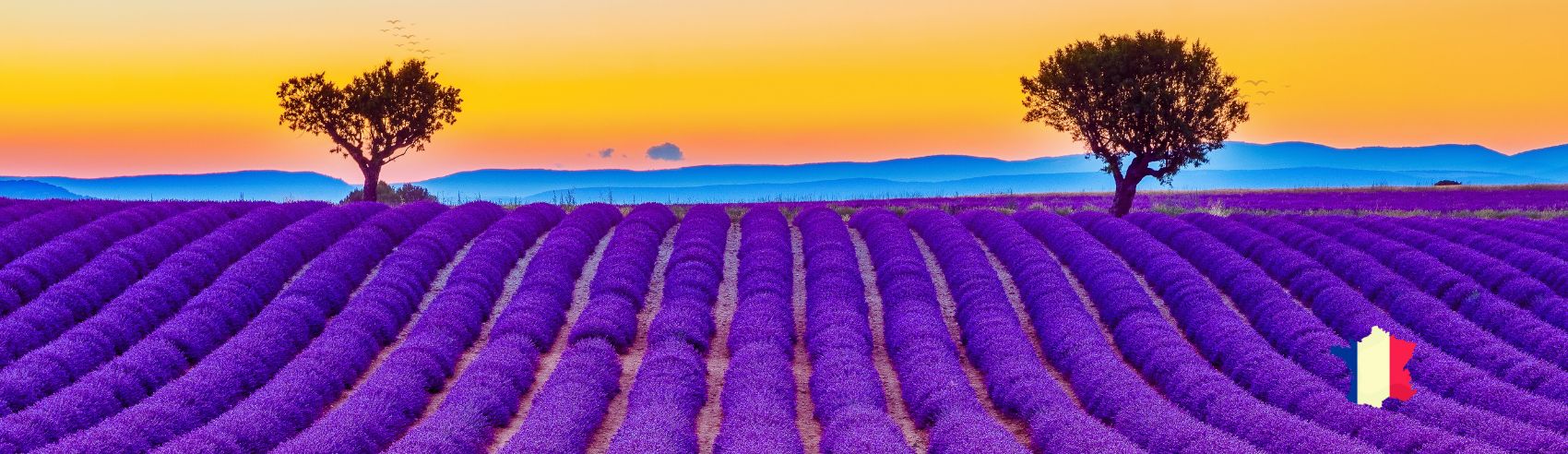 The Ultimate Guide to France