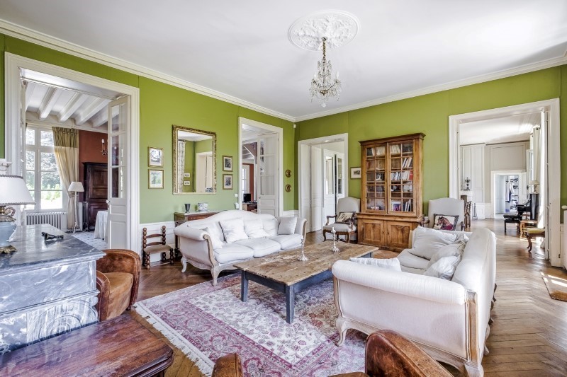 Castles and Chateau for Sale in France