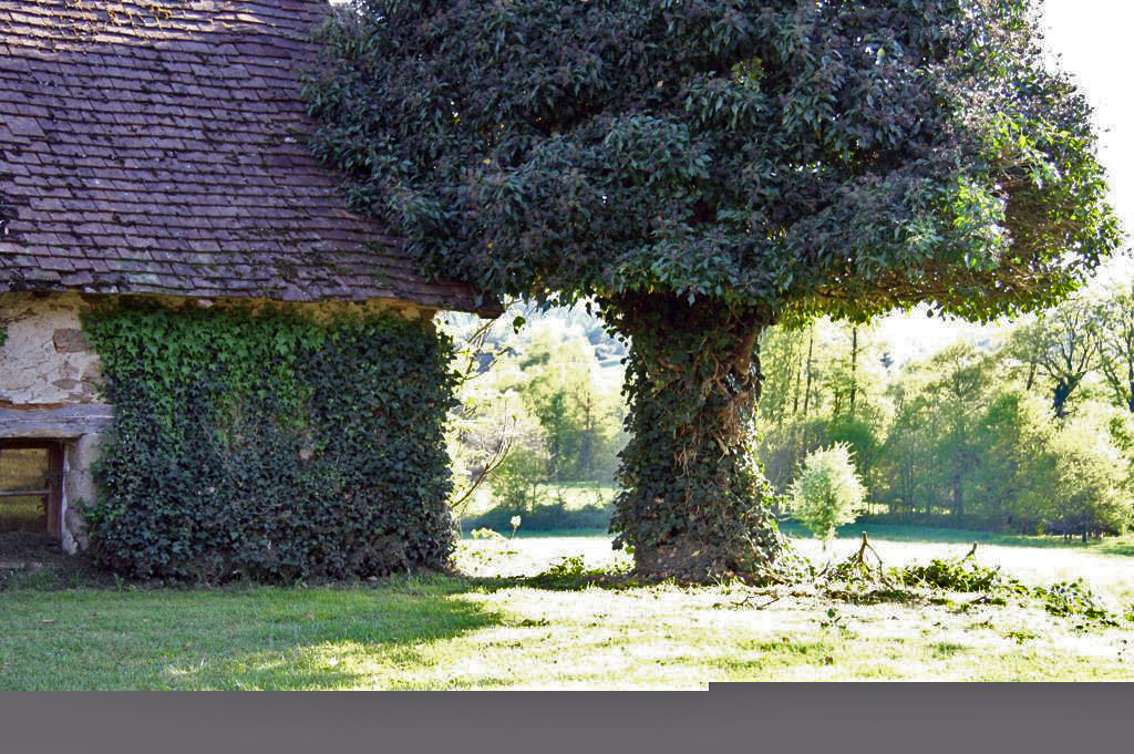 Properties For Sale in the Dordogne and Perigord in south west France