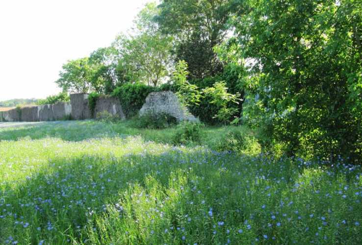Xvii O Estate Of 6 M2 Hab On 1ha Enclosed By Walls For Sale In Charente Maritime