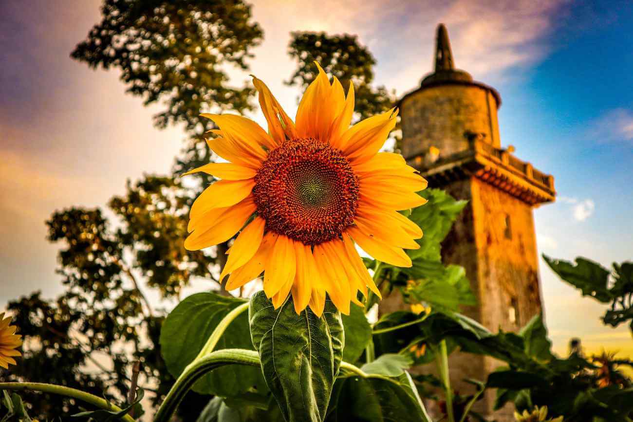 Chateaux life in the Dordogne